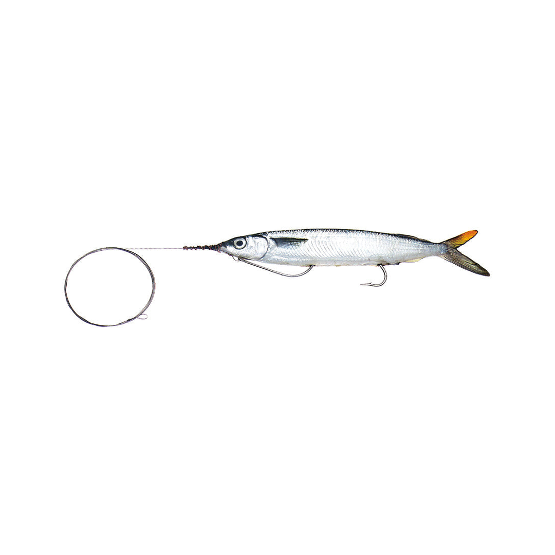 ballyhoo hooks with screw on weight Medium Rigged Double-Hook Wire Leader – Baitmasters of South Florida Rod Size:9ft 4-Piece (2 Fresh or 2 Salt with Reels) Upgrade your fishing experience hcs Spinning Reels under 100