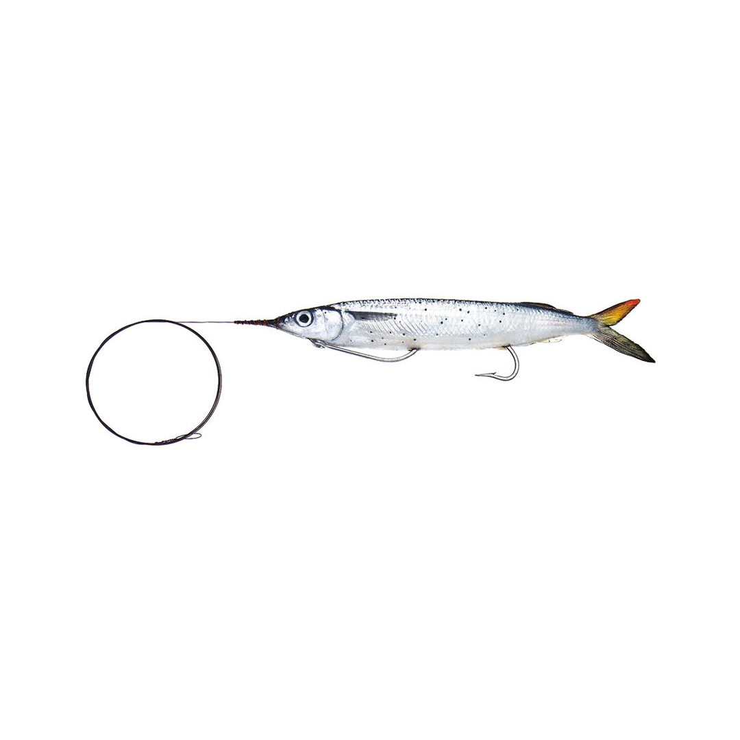 Wahoo Special Horse Ballyhoo – Baitmasters of South Florida