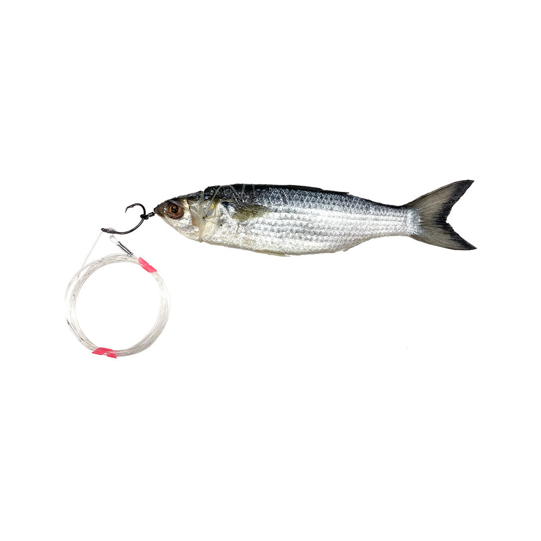 Circle Hook Marlin Silver Mullet
