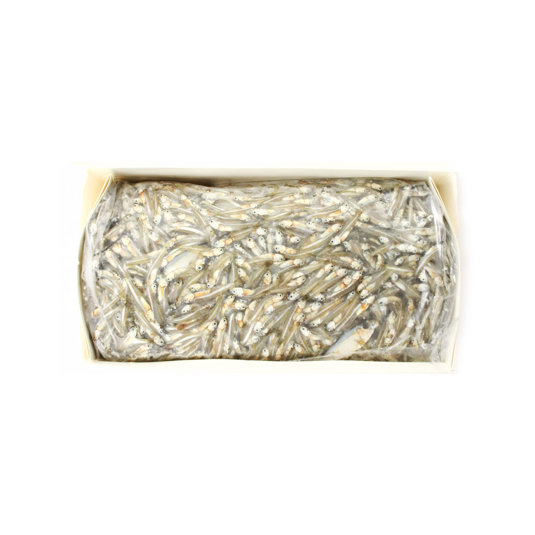 Glass Minnows (Majua)