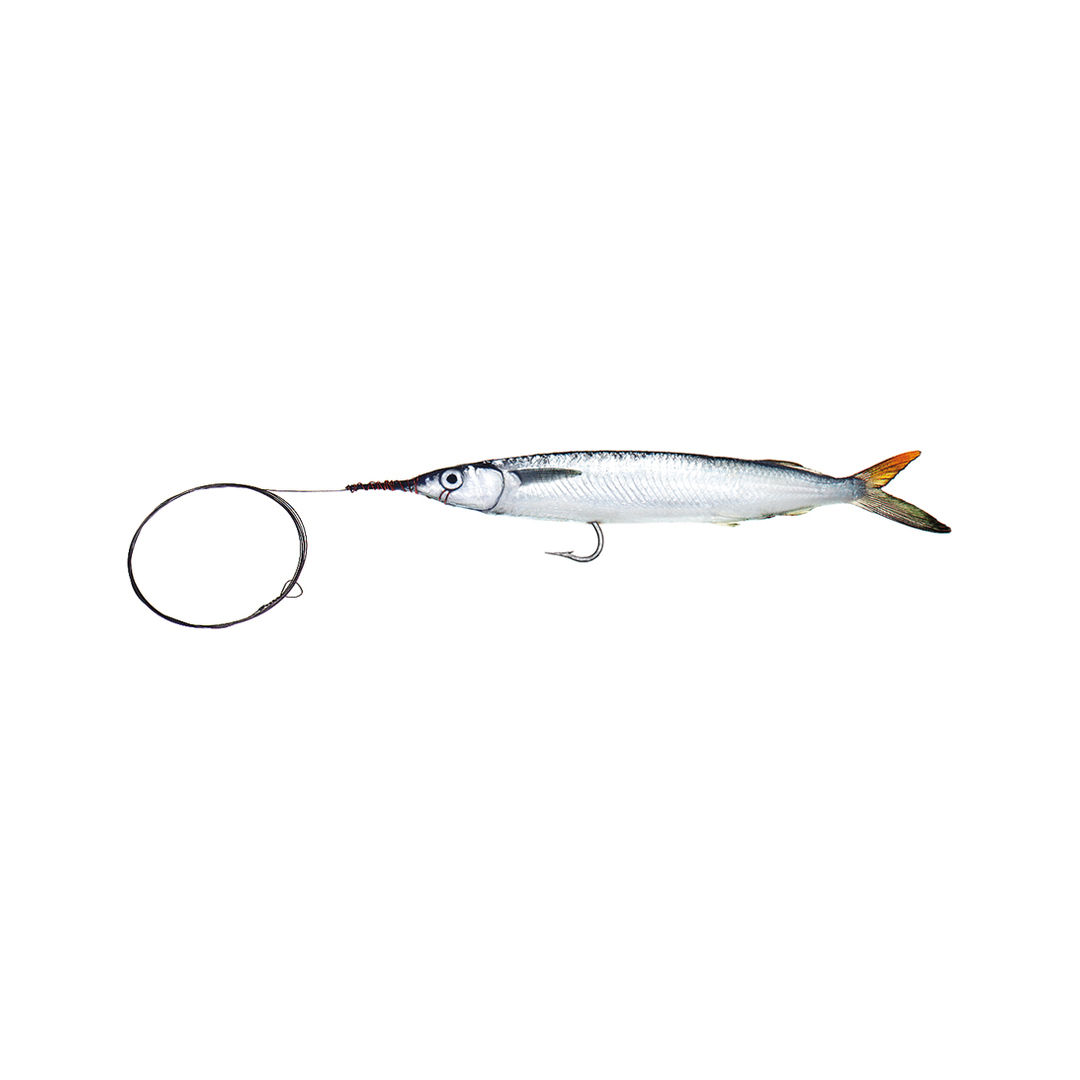 Medium Single Hook Ballyhoo with Wire Leader – Baitmasters of South Florida