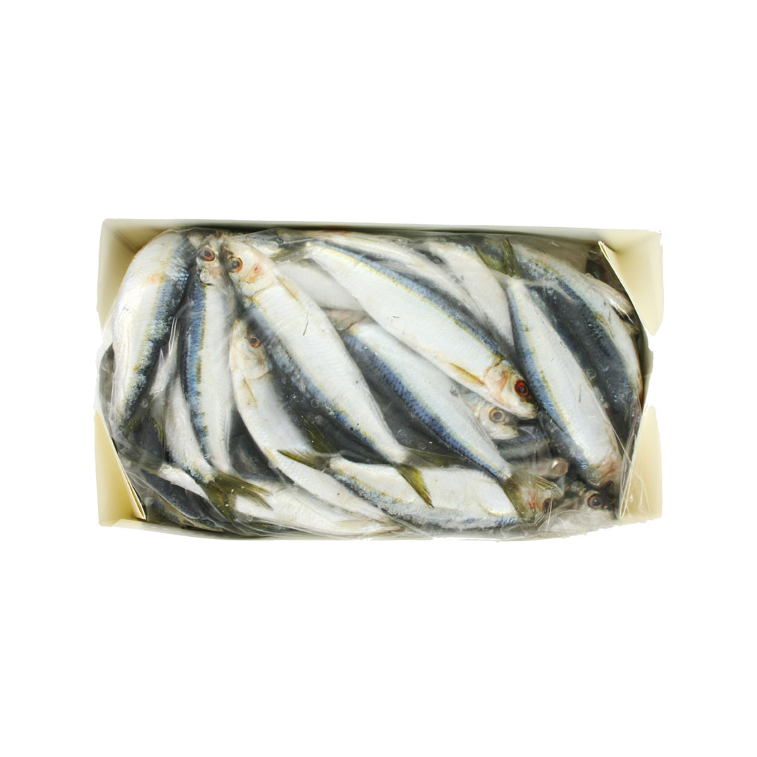 Spanish Sardines