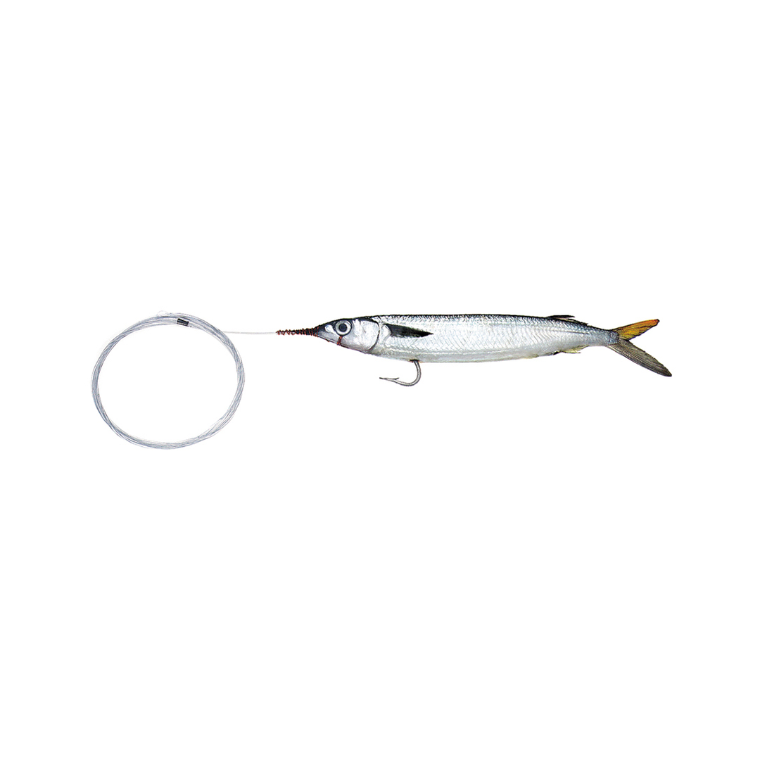ballyhoo reel big fish durty nellies october 16 Super Select Rigged Without Lead – Baitmasters of South Florida Striped Bass Option:Minima 2/5WT Reel Shimano Curado DC 200