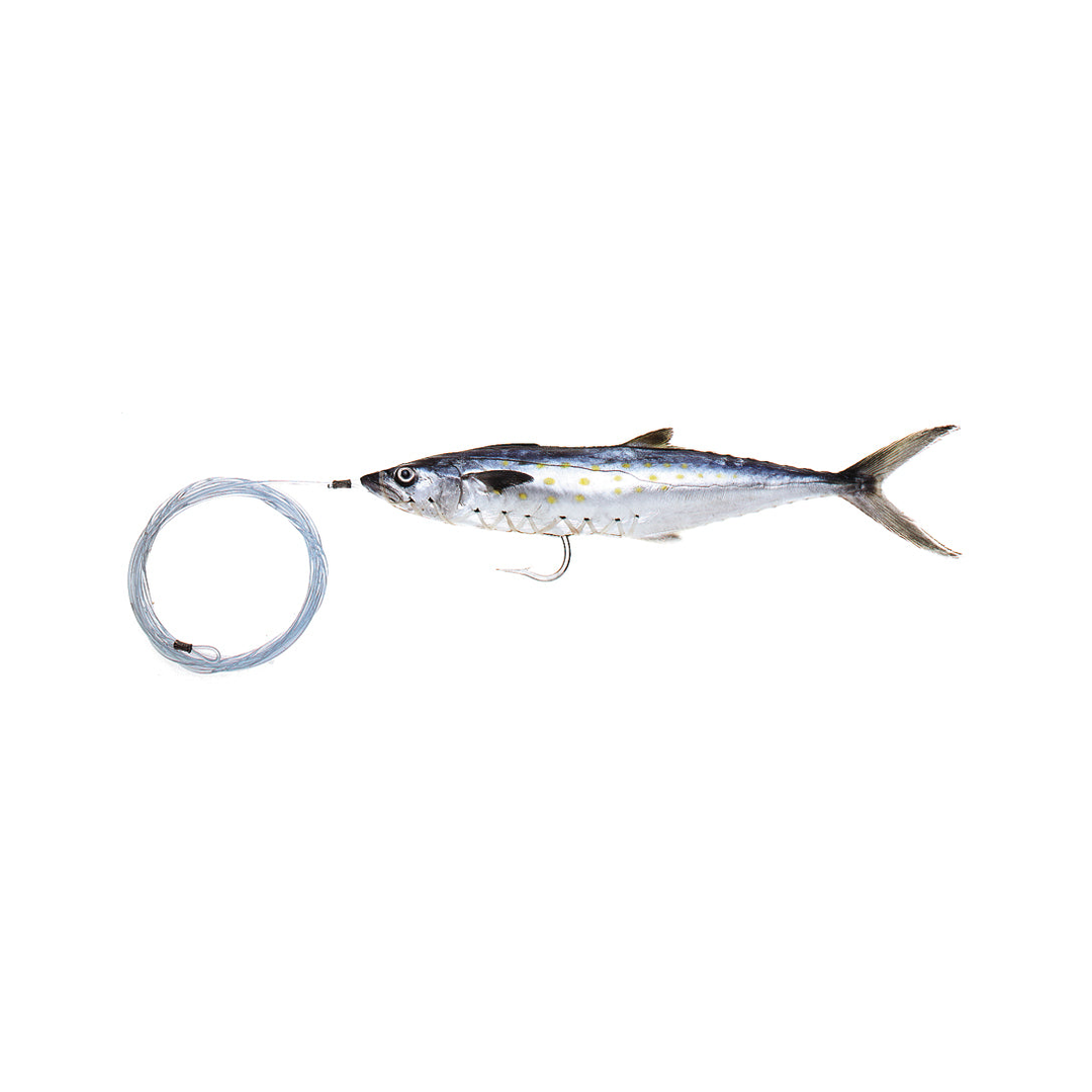 Pro-Series Rigged Spanish Mackerel