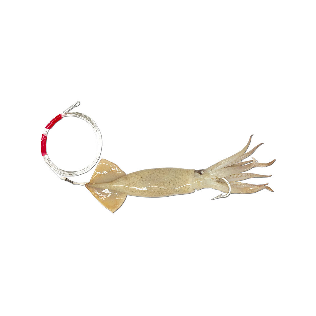Tuna Delight 9" - 12" Rigged J-Hook Squid