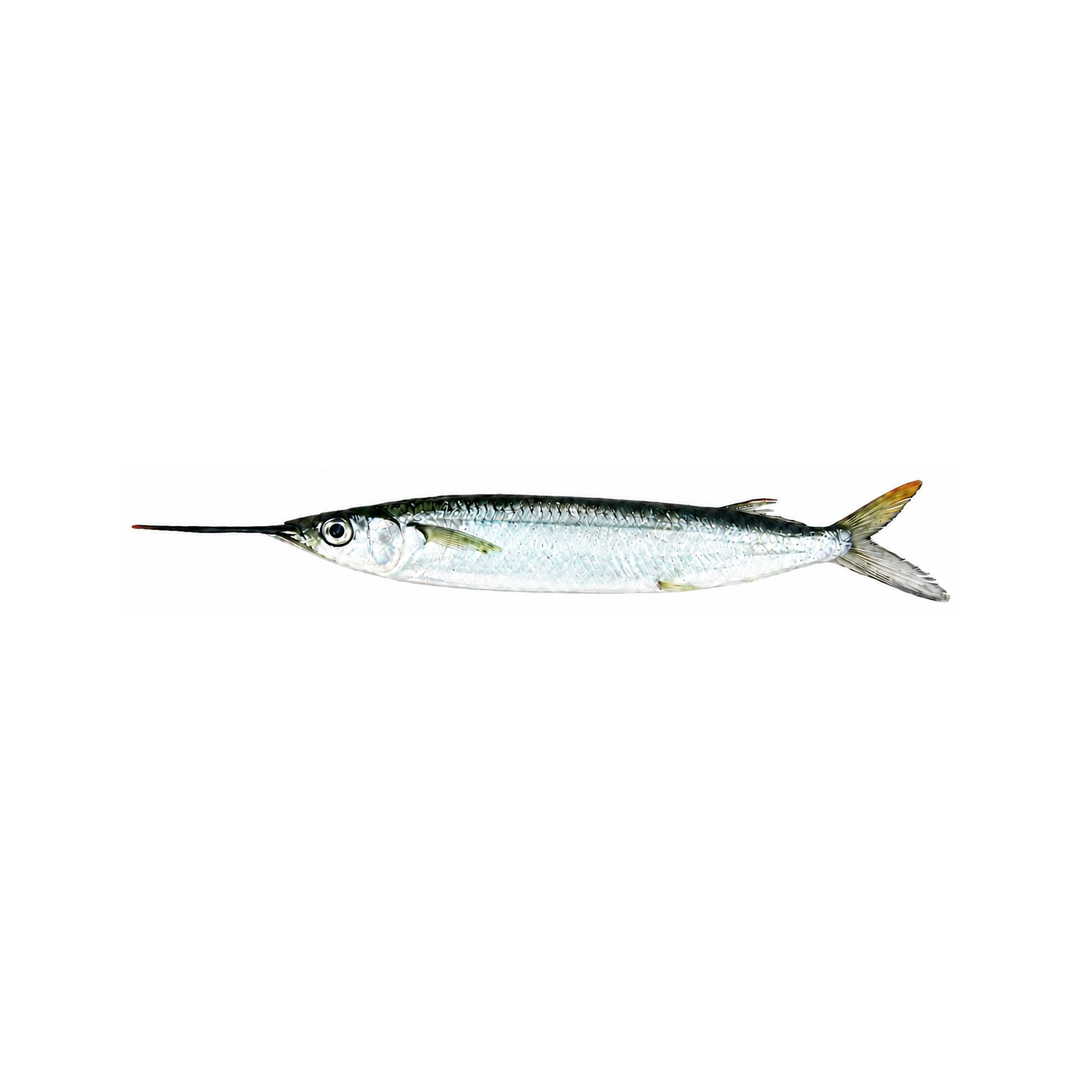 Unrigged Ballyhoo