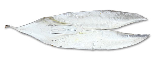 Unrigged Bonita Strips