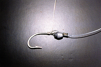 Photo showing the second rig described hook with lead and monel wire wrap