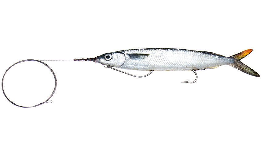 double hook fishing leaders Medium Rigged Double-Hook Ballyhoo with Wire Leader – Baitmasters of South Florida
