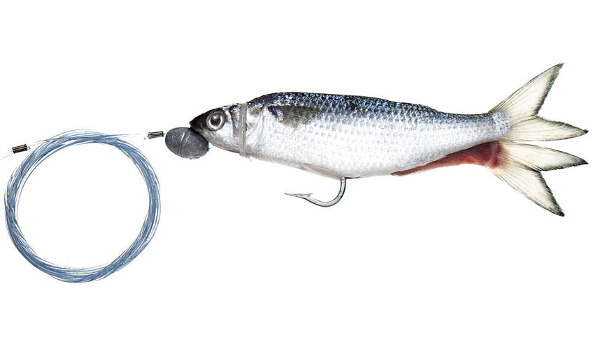 Pro-Series Marlin Rigged Single-Hook Silver Mullet