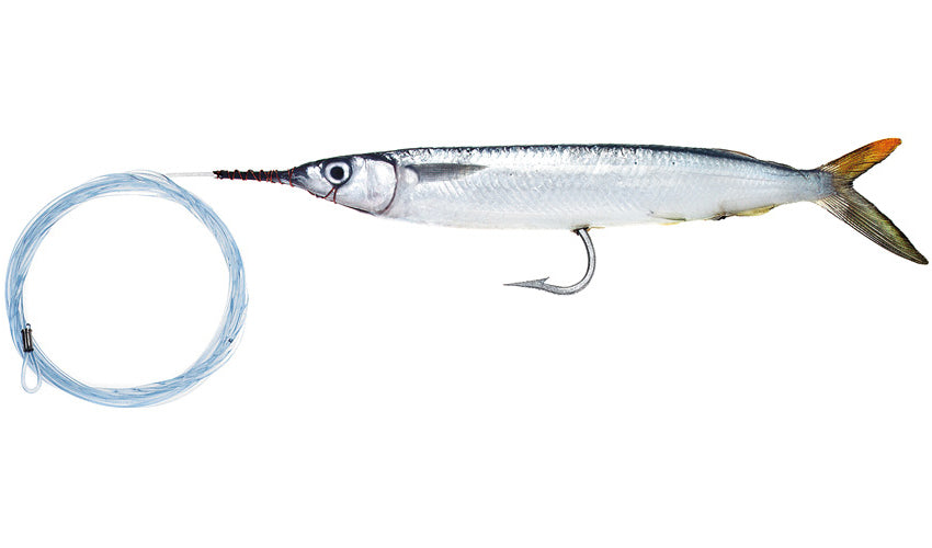 Horse Rigged Single Hook Ballyhoo with Monofilament Leader
