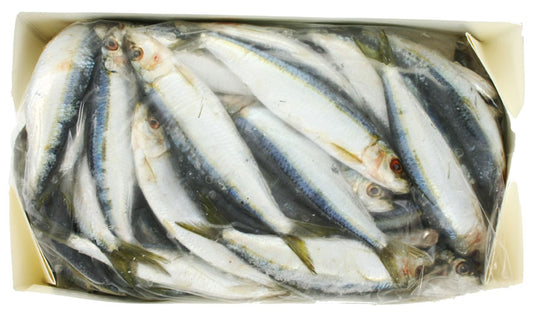 Spanish Sardines