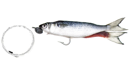 Super Sail Rigged Single-Hook 7" - 8" Silver Mullet
