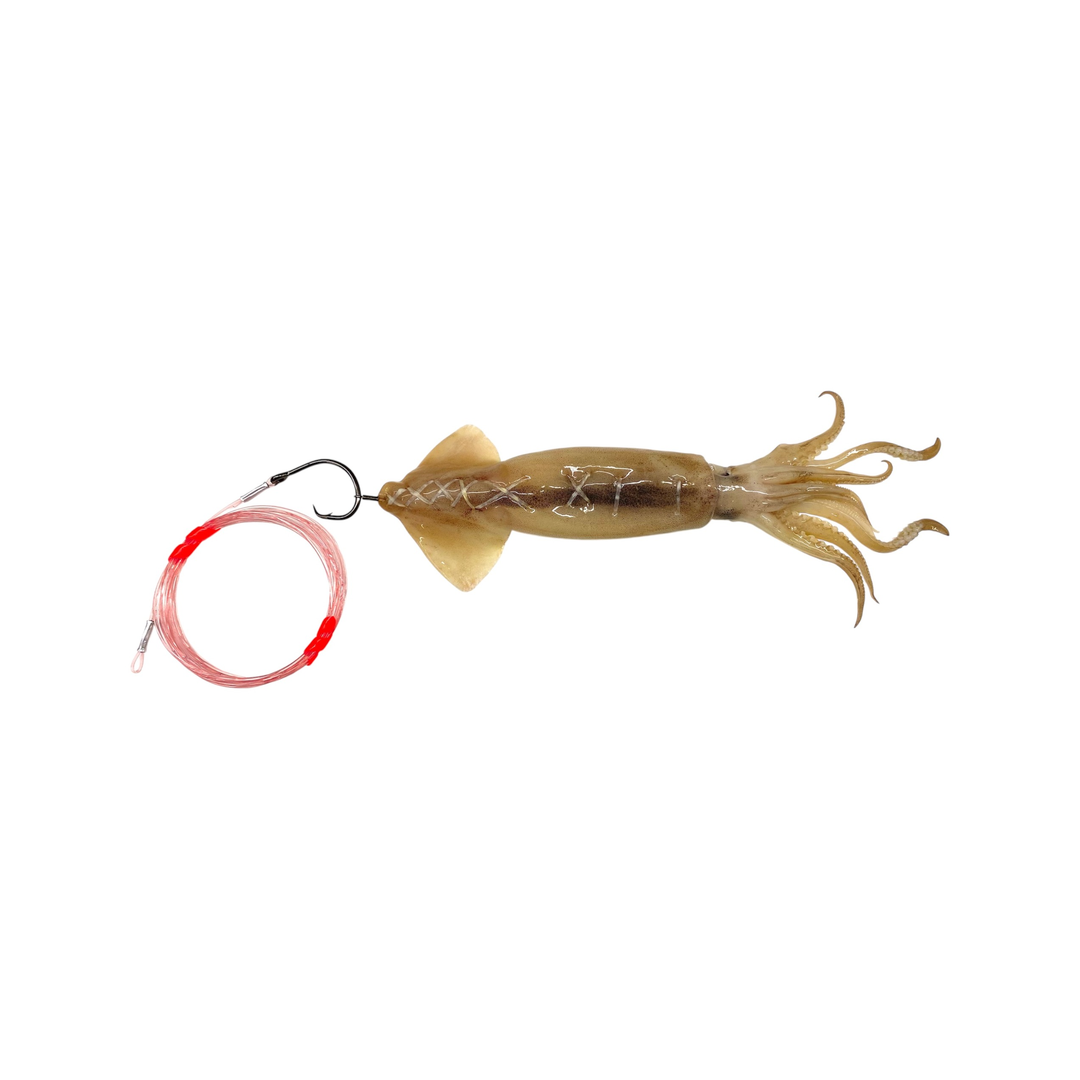 Medium 10"-12" Rigged Circle Hook Squid