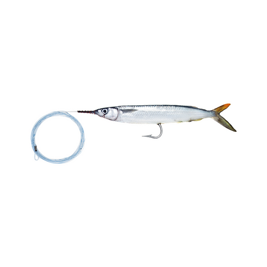 Flourocarbon Rigged Marlin Special Horse Ballyhoo