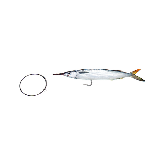 Medium Single Hook Ballyhoo with Wire Leader