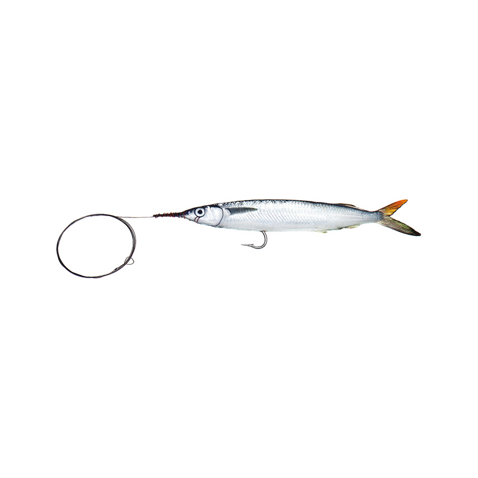 Ballyhoo | Baitmasters of South Florida | Quality Baits Everytime