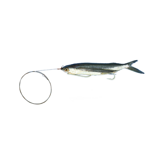 Medium Rigged Flying Fish with Wire Leader