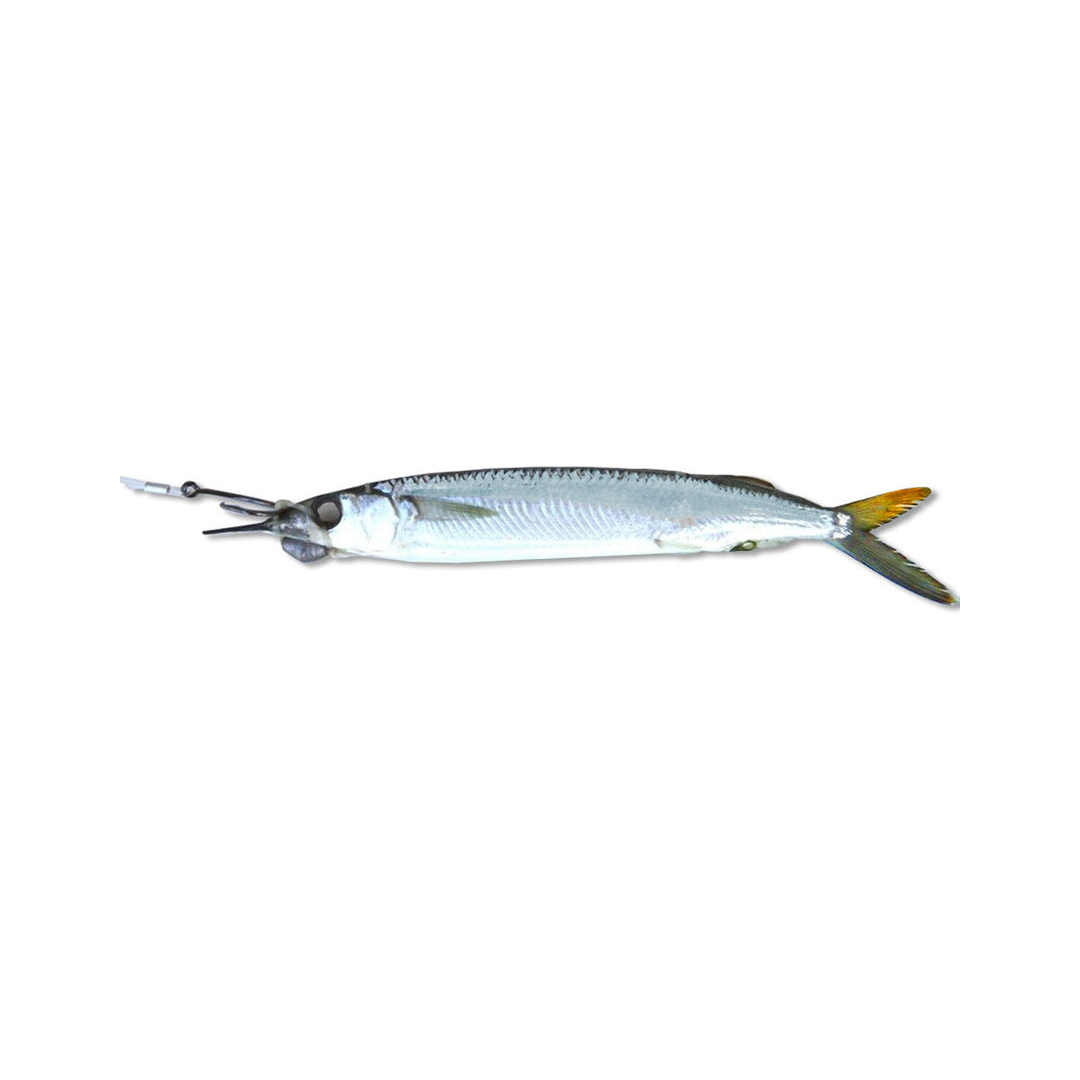 Select Circle Hook Ballyhoo
