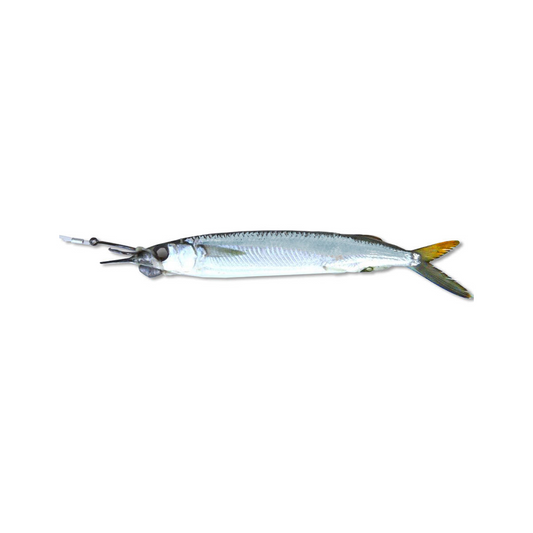 Select Circle Hook Ballyhoo