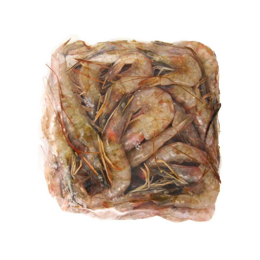 Shrimp