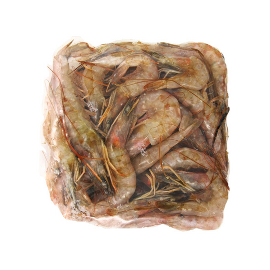 Shrimp