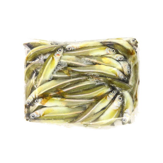 Silversides