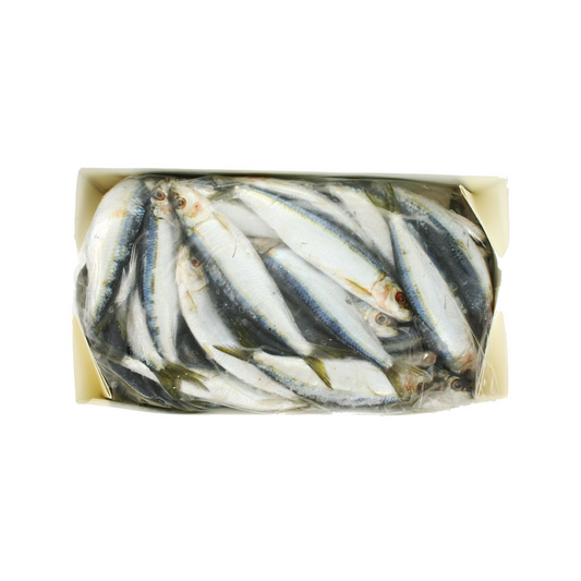 Spanish Sardines