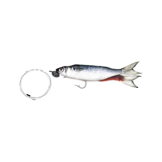 Super Sail Rigged Single-Hook 7" - 8" Silver Mullet