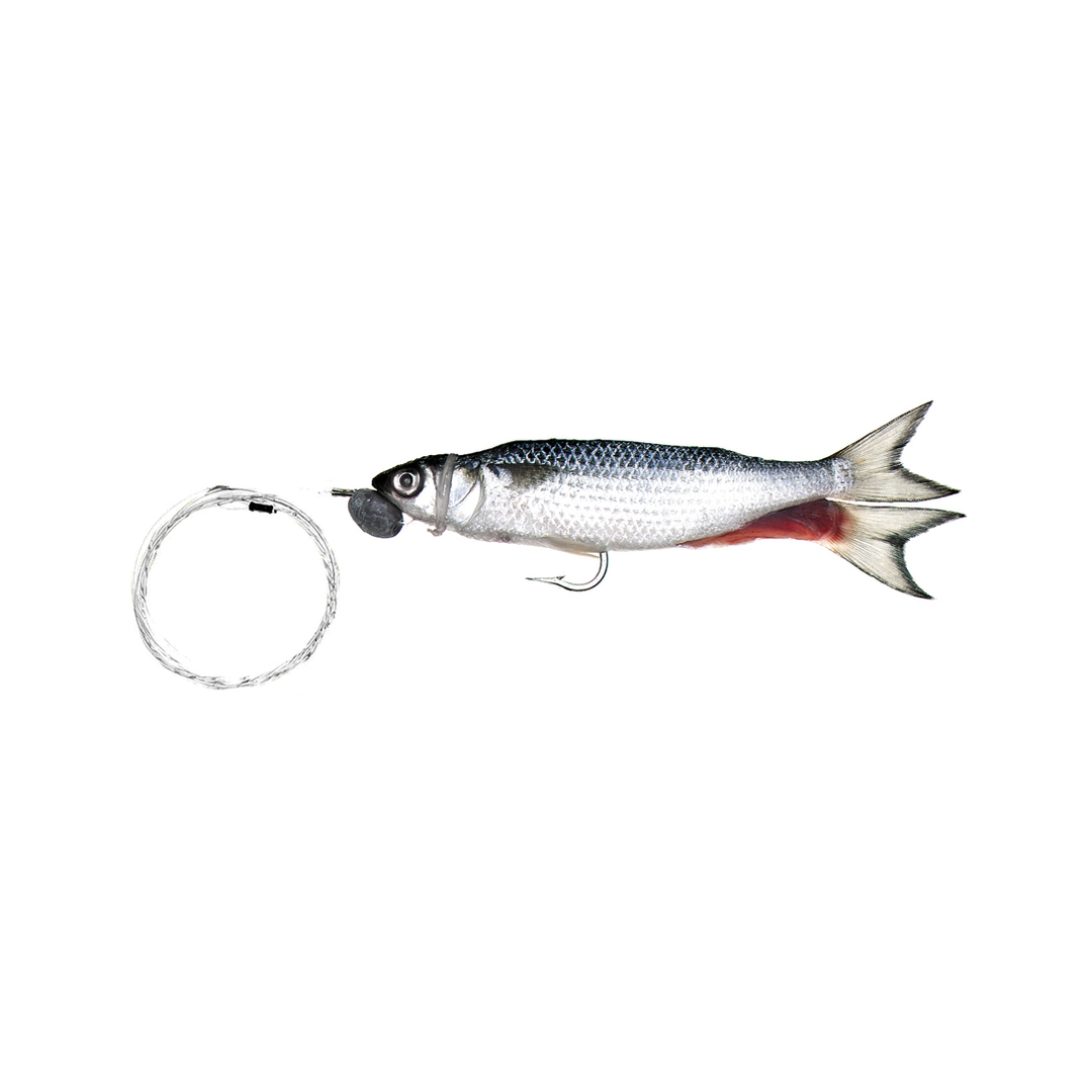 Trollers Single-Hook Silver Mullet with Monofilament Leader