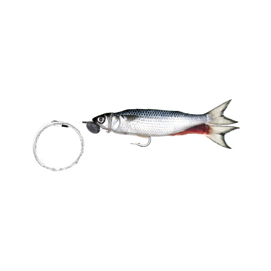 Trollers Single-Hook Silver Mullet with Monofilament Leader