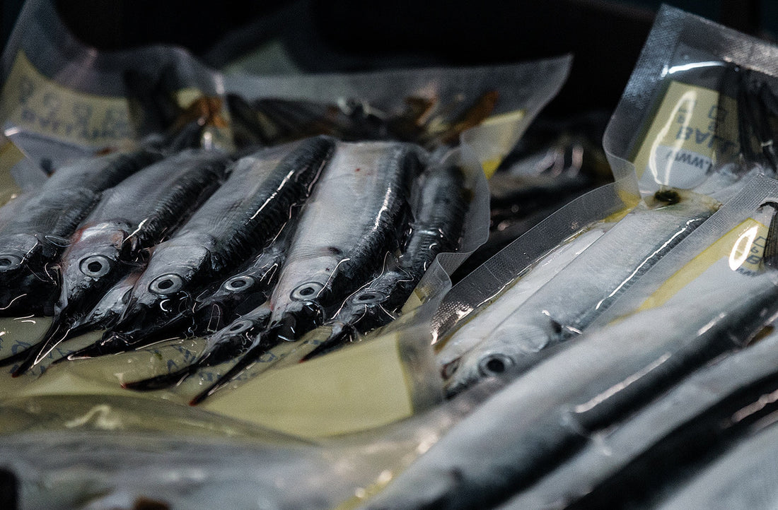 Baitmasters of South Florida | Quality Baits Every Time