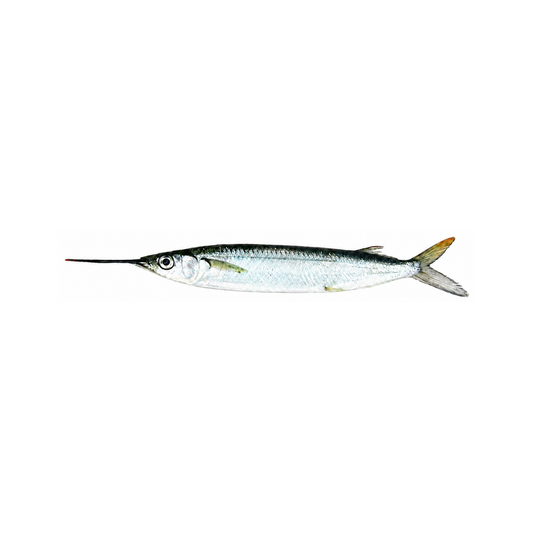 Unrigged Ballyhoo