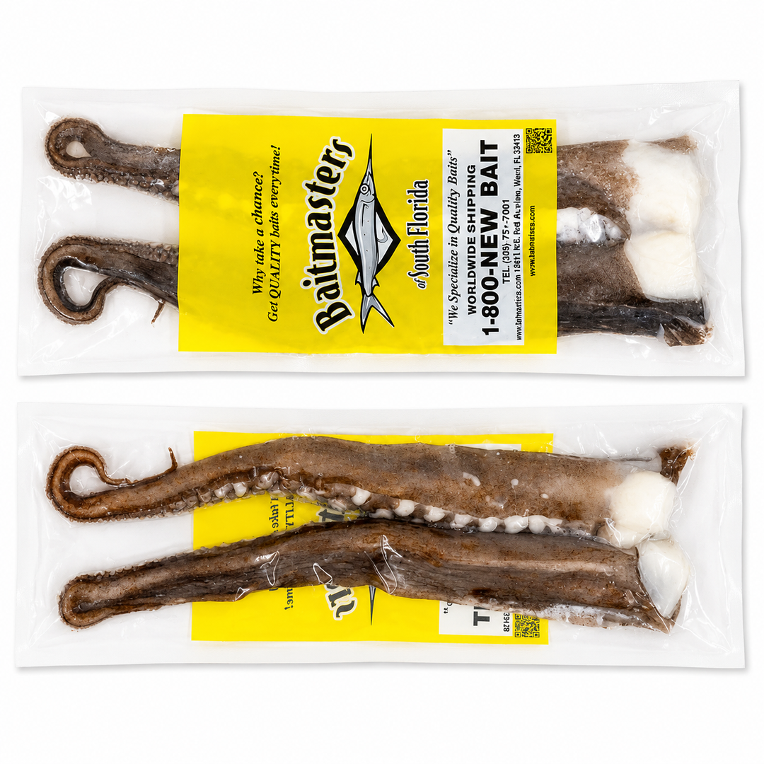 Unrigged Squid Tentacles