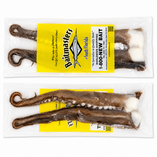 Unrigged Squid Tentacles
