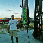 353lb Swordfish is the Pending Texas Record