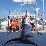 600 lbs Swordfish caught on the Booby Trap with Baitmasters Bait!
