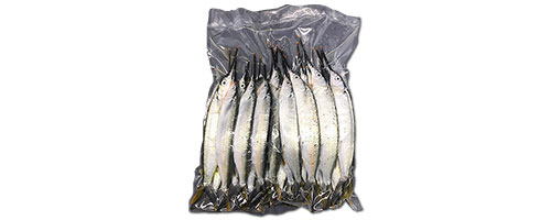 This is an image of the Bulk Pack Small Ballyhoo