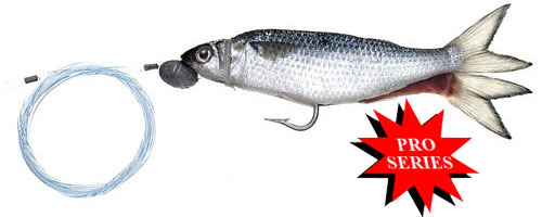 This is an image of the Pro-Series Marlin Silver Mullet