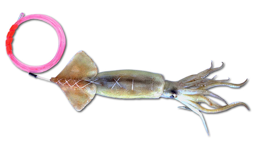 Pro-Series Swordfish Squid - Baitmasters of South Florida