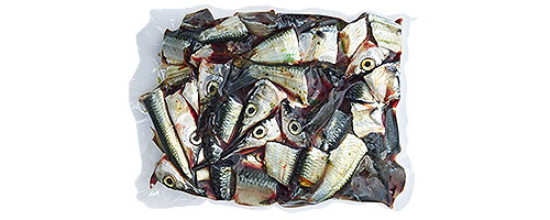 Baitmasters Magic Fish'N Dry Chum – Salt Strong